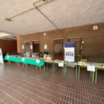 Mercadillo de libros